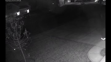 Elf on the shelf caught on surveillance camera