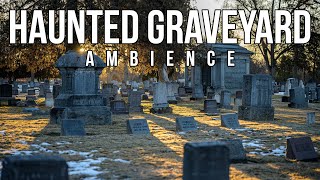 Haunted Graveyard Ambience | Sound Effect (Copyright Free)