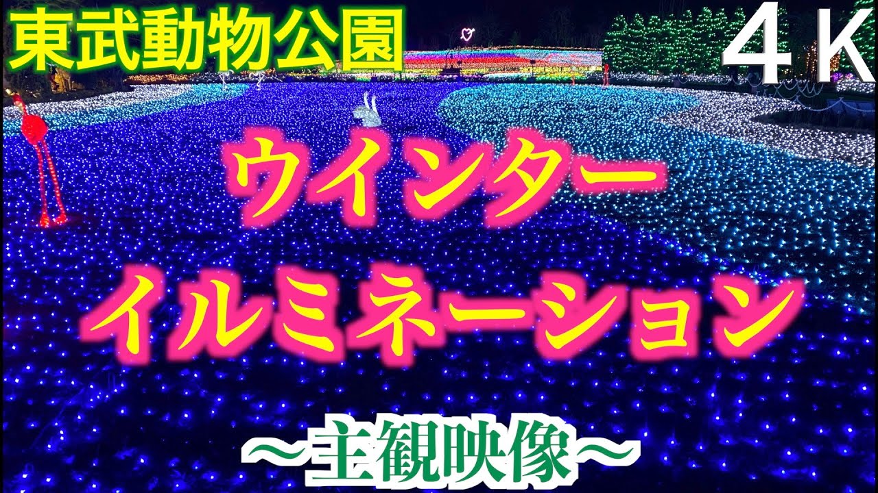 4k 東武動物公園ウインターイルミネーション21 22 イルミネーション ヒーリング Youtube