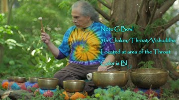 Quick 11 min Chakra Tune Up by the Redwood Tree ~ w/Spinning Bowls