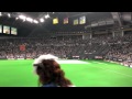 日本ハムファイターズ 札幌開幕 さだまさし 北の国から 熱唱