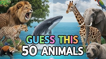 Guess the Animal: IMPOSSIBLE 50-Question Challenge | ULTIMATE Animal Quiz! #gkquiz