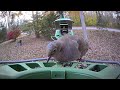 Beautiful #autumncolors in New England at the Super Double Bird Feeder #leavesfalling #fallfoliage