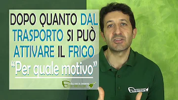 Quanto tempo si deve aspettare prima di accendere il frigorifero?