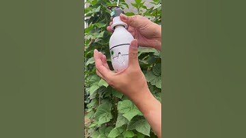 Bóng đèn Camera 2 mắt xem 2 góc cùng lúc xoay 360