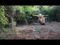 Land Clearing - Part 1 (Forestry Mulching)