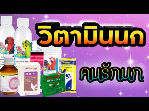 #วิตามินนก #นกพ่อพันธุ์แม่พันธุ์ #ไข่มีเชื้อไข่สมบูรณ์ #ลูกดก