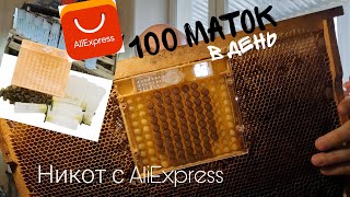 100 Маток в день - Никот с AliExpress Доработка