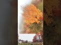 Fpv Freestyle November 9