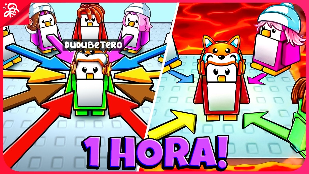 1 HORA DOS MELHORES VÍDEOS KNOCKOUT DO DUDU BETERO