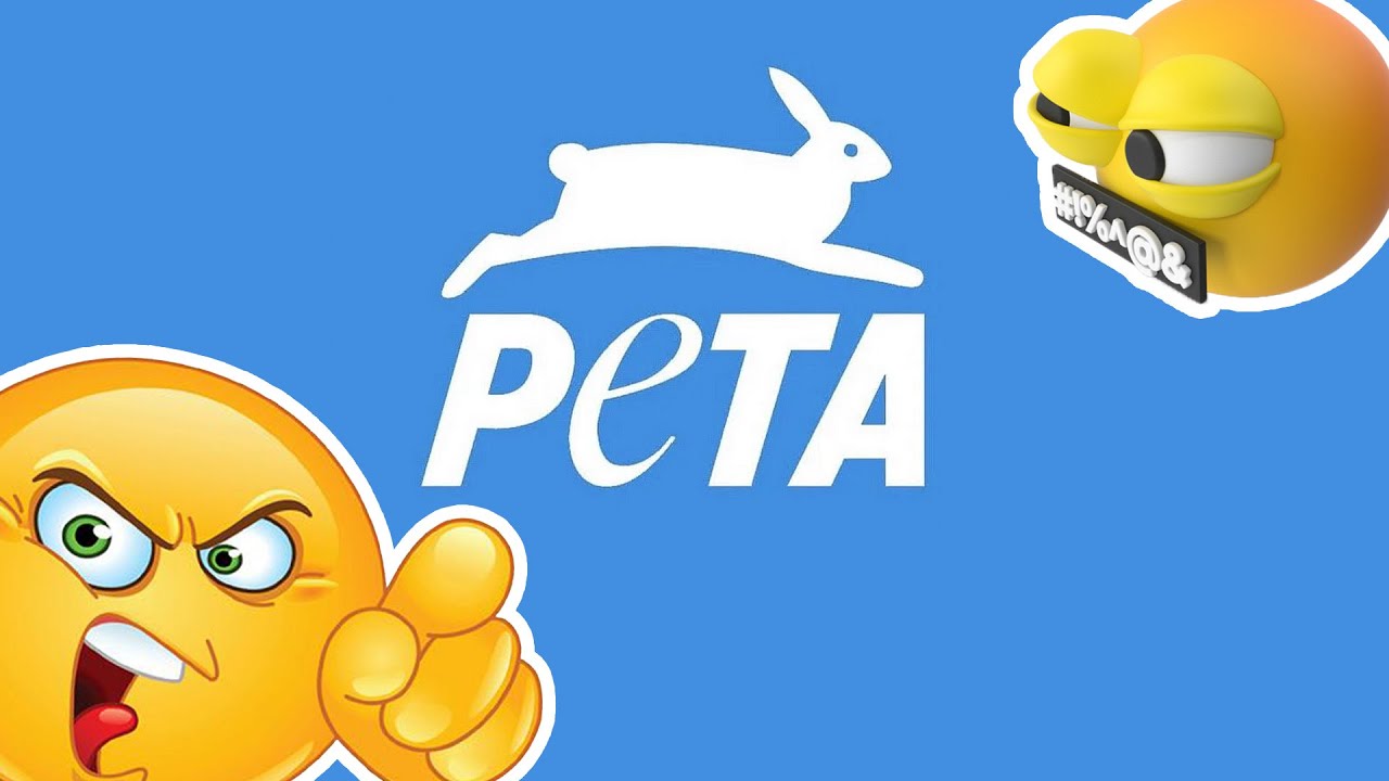 Я ненавижу ПЭТ.