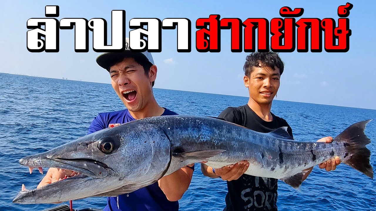 ล่าปลาสากยักษ์ ปลาปีศาจใหญ่ที่สุดในชีวิต!! Giant Barracuda fishing!! [คนหลงรส EP.77]