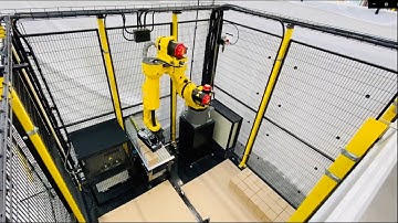 Palletising system with layer cards SOLPAL MATE