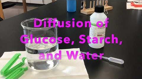 Diffusion of Water, Glucose, and Starch through a Dialysis Bag