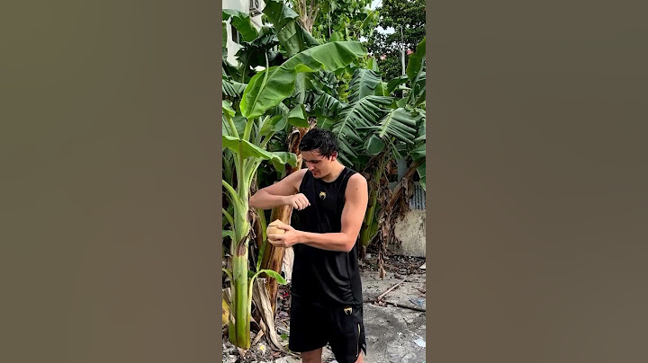 That elbow 💪 Can Petchtanong take Alaverdi Ramazanov's power at ONE Fight Night 23 on Prime Video?