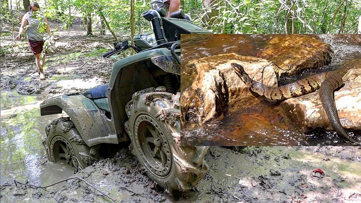 SNAKE Encounter While Atv Mud Riding