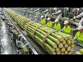 Inside a Modern Cane Sugar Factory: From Fresh Sugarcane Farm to Pure Crystal Sugar! (Full Process)