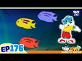 蓝猫淘气3000问 幽默舞台 第176话 为什么有些鱼儿会发光 蓝猫动画乐园 儿童动画 卡通 教育 科普 探索 Blue Cat Cartoon 点击订阅观看更多 蓝猫淘气3000问 幽默舞台 第176话 为什么有些鱼儿会发光 蓝猫动画乐园 儿童动画 卡通 教育 科普 探索 Blue Cat Cartoon 点击订阅观看更多