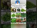 ছায়াযুক্ত স্থানে কি কি সবজি চাষ করা যায়। অন্ধকারেও এই শাক ফসল ফলে দারুণ #বাগানিং #শাকসবজি