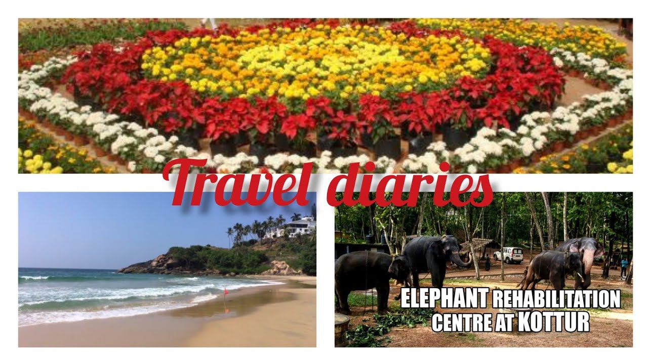 Travel diaries /Trivandrum /eternal sunshine YouTube