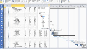 Microsoft Project 2010 Video 33 Filtering and Highlighting Tasks