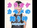 カラオケ「カモメの舞う岬」松田聖子☆歌詞付き