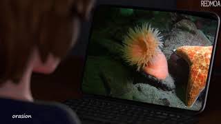 Aunt Cass checks your browser history
