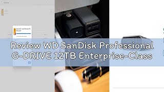 Review WD SanDisk Professional G-DRIVE 12TB Enterprise-Class Desktop Hard Drive, up to 250MB/s USB-C