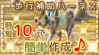 超簡単！時短手作り介護ハーネス♪老愛犬の歩行困難時の補助＆サポートに！お散歩補助♪歩行補助♪立ち上がり補助！寝たきりリスク軽減にも♪老犬介護♪ワンちゃんもらくらくお散歩♪