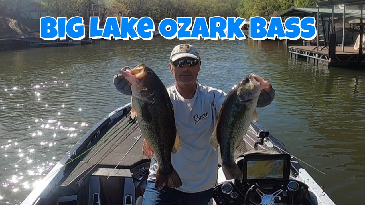 Lake Ozark Bass Fishing – AIA Prep