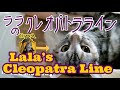 51.ララのクレオパトラライン/Lala's Cleopatra Line