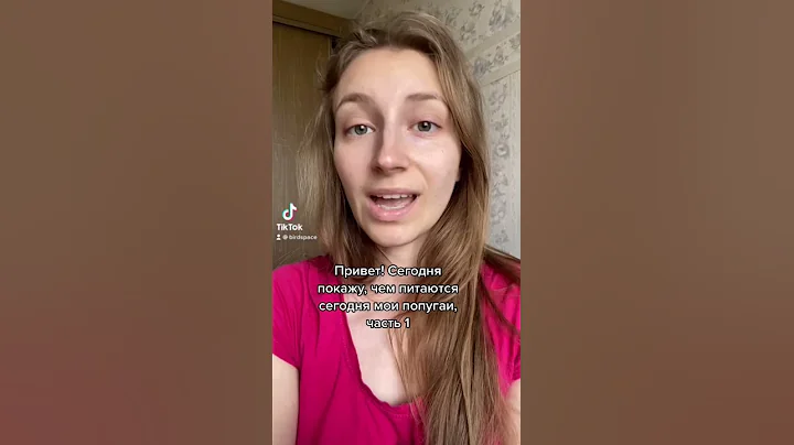 чем кормить маленького попугая