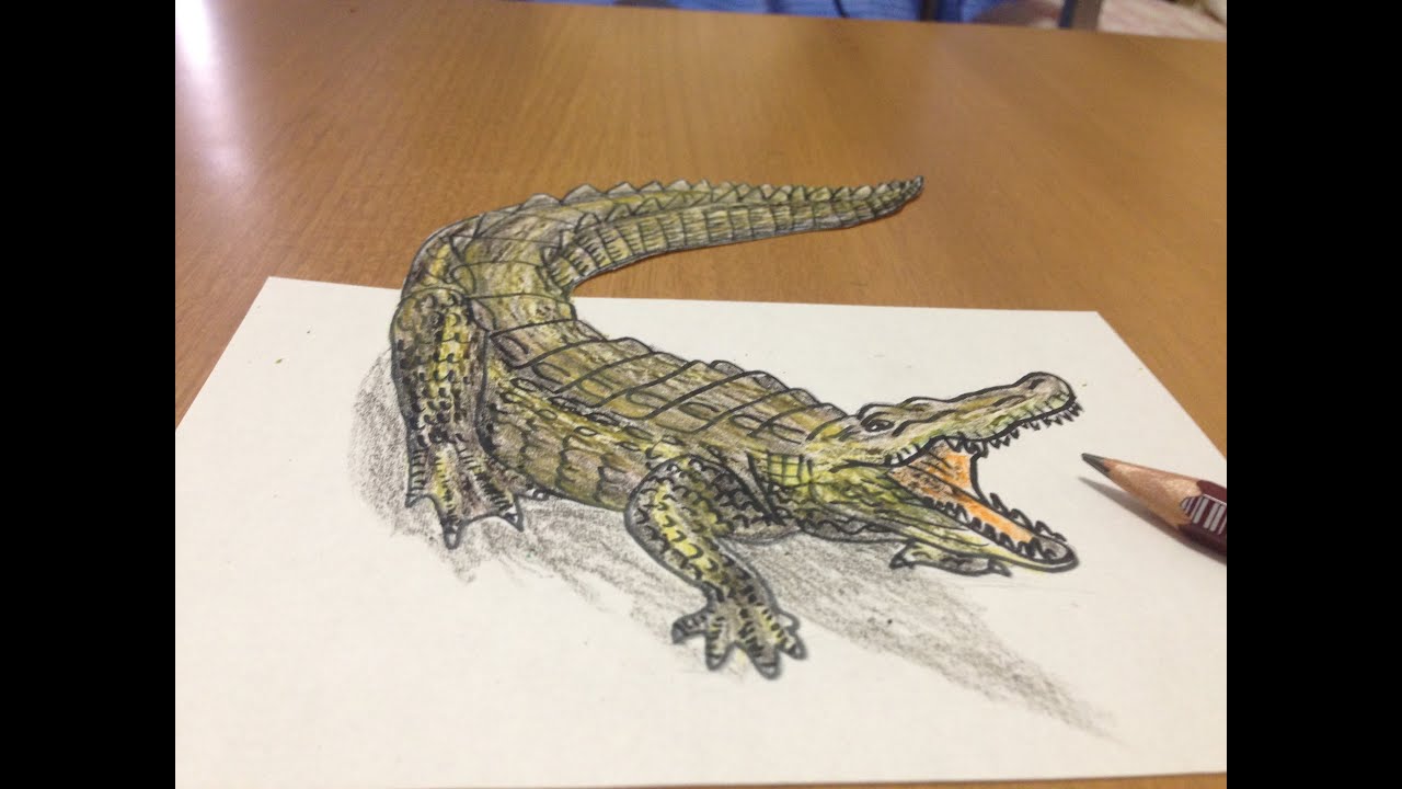 Trick Art Drawing 3D Crocodile Anamorphic Illusion YouTube