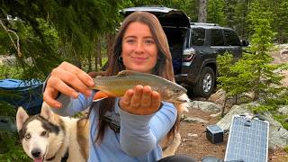 Solo Female Car Camping + Catch & Cook Brook Trout in the Colorado Mountains
