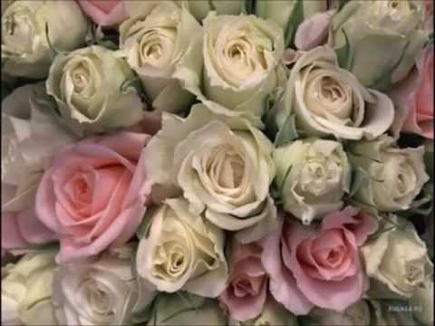 გილოცავთ დე