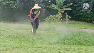 Bagaimana Menilai Kondisi Busi Mesin Potong rumput ?