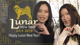Happy Lunar New Year from our staff and students