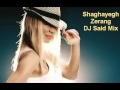 Shaghayegh zerang dj said persian party mix