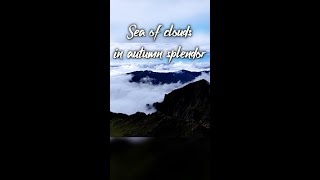 Sea Of Clouds In Shennongjia In Autumn Splendor