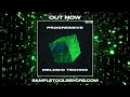 Sample tools by cr2  progressive melodic techno sample pack