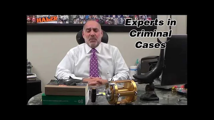 Expert Witnesses and Criminal Cases? Michael A Haber PA Miami Criminal Lawyer