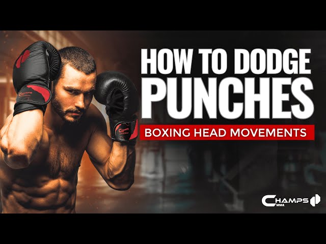 How to dodge punches - Boxing head movement basics 