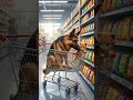 Is This True Friendship? Dog & Cat Love Stories