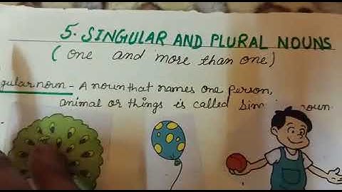 Class 3 English Grammar Chapter 5 Singular and  Plural Nouns