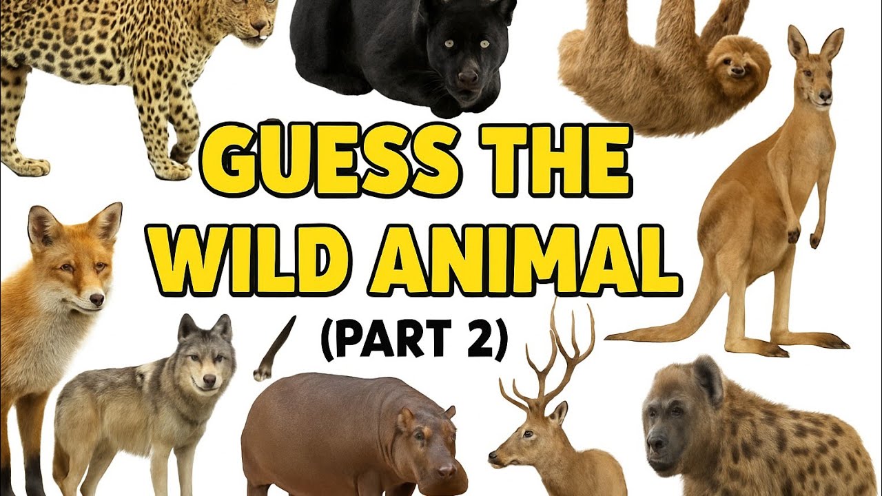 Guess the Wild Animals (Part 2) | wild animal Quiz for Kids | Learn ...