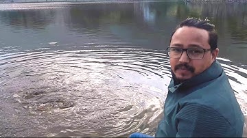 Connect Live 2020 Application Video