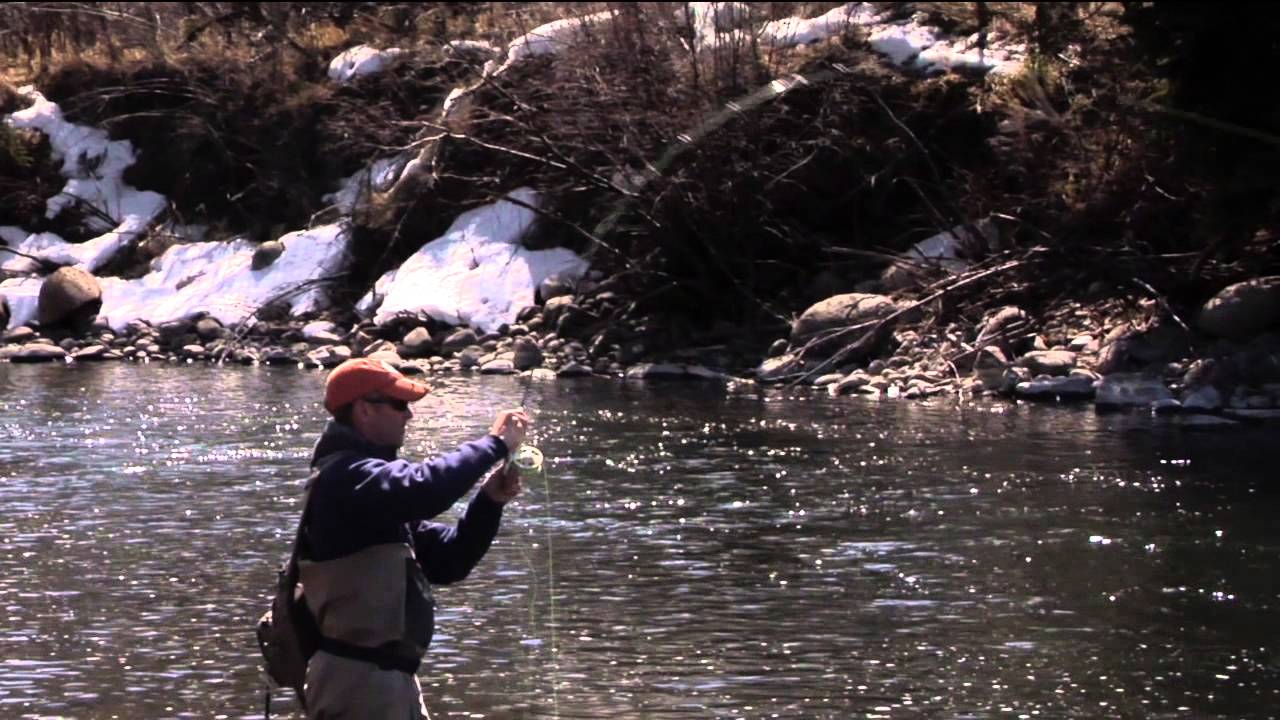 Eagle River Colorado Fly Fishing YouTube