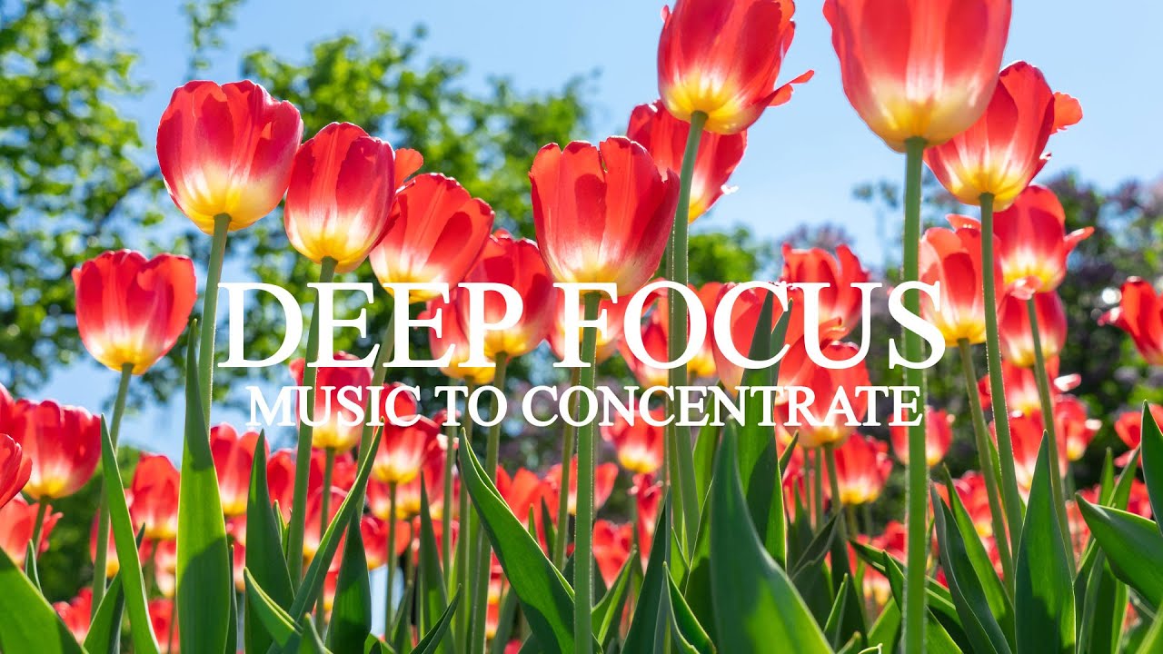 Deep Focus - Focus Music for Work and Studying, Background Music for ...