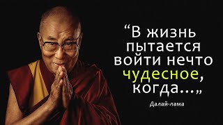 19 правил счастливой жизни от Далай-ламы. Цитаты, афоризмы и мудрые мысли. Философия буддизма.