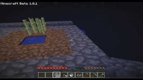 Kia Does The SkyBlock Challenge part 16